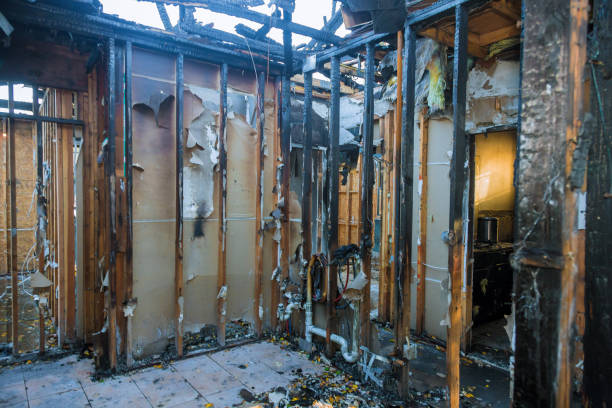 Professional Fire Damage Removal technician working in Morningside, MD